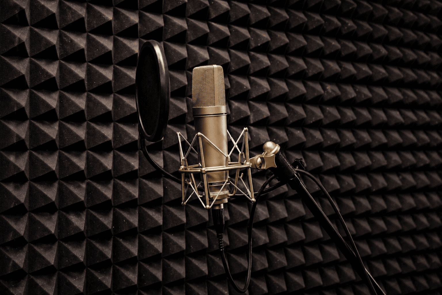 Студия ZS Records — общий вид
